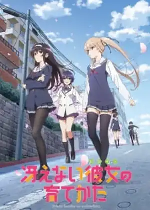 مشاهدة وتحميل SAENAI HEROINE NO SODATEKATA