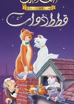 مشاهدة وتحميل قطط ذوات